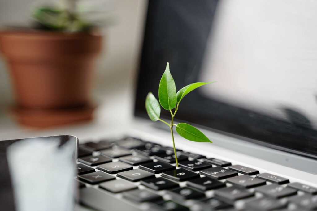 Laptop,Keyboard,With,Plant,Growing,On,It.,Green,It,Computing